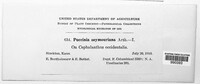 Image Associated With the Occurence
